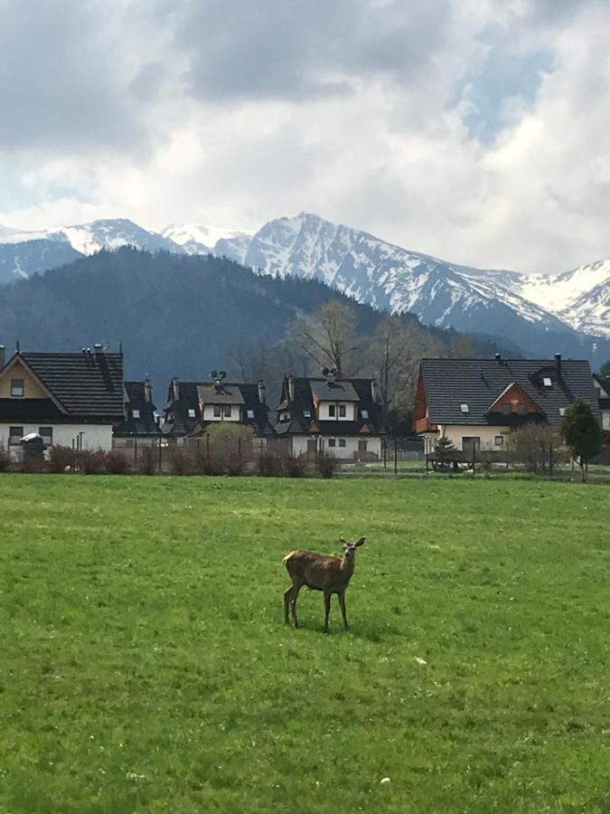 Villa Jumper Widok Na Cale Tatry Lazienka Nie Jest W Pokoju Закопане Экстерьер фото