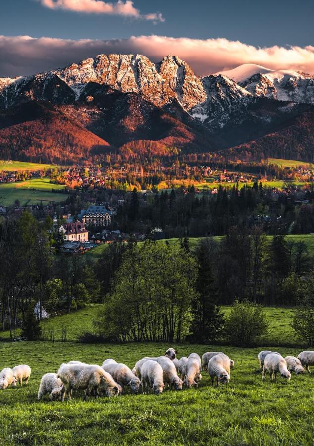 Villa Jumper Widok Na Cale Tatry Lazienka Nie Jest W Pokoju Закопане Экстерьер фото